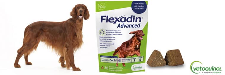Vetoquinol - Flexadin Advanced Boswellia