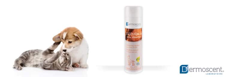 Keriox - Shampoing Séborrhée pour chien et chat