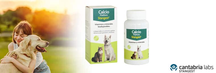 Stangest - Dicalfon calcium phosphore