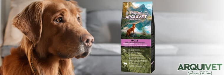 Arquivet - Original Adult Agneau & Riz