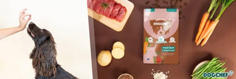 Dog Chef - Croquettes au bœuf frais