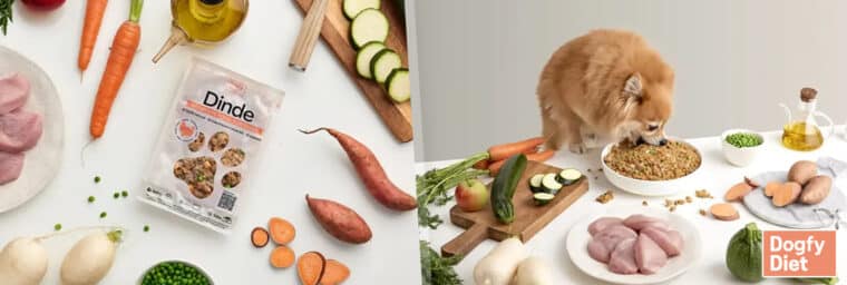 Dogfy Diet – recette à la dinde