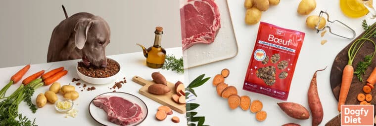 Dogfy Diet – recette au bœuf