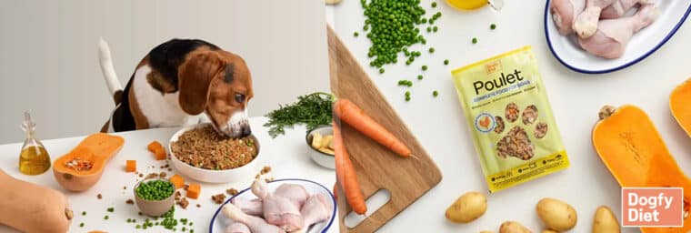 Dogfy Diet – recette au poulet