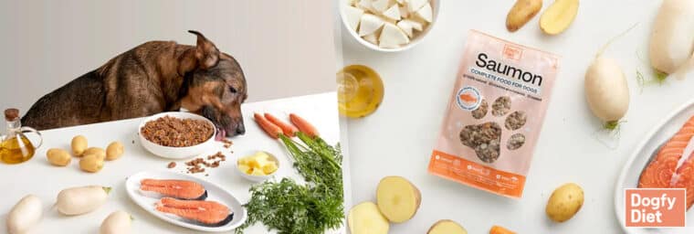 Dogfy Diet – recette au saumon