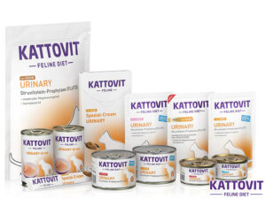 Kattovit avis