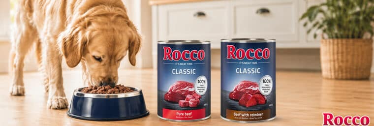 Rocco - Classic Gibier