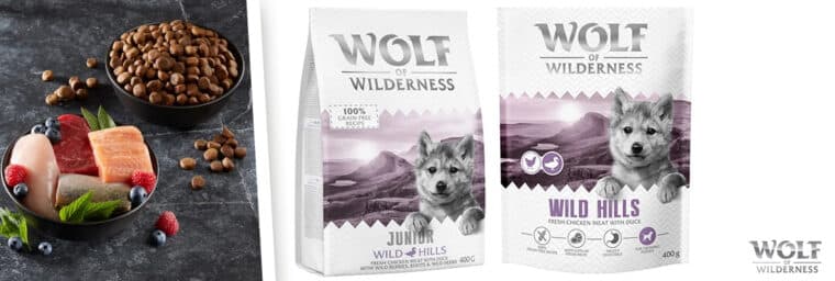 Wolf of Wilderness - Junior _Wild Hills_ canard - sans céréales