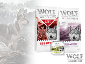 Wolf of Wilderness avis