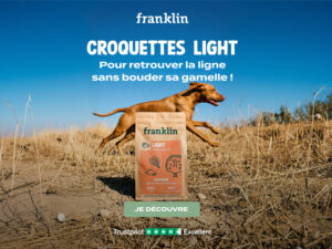 avis franklin light