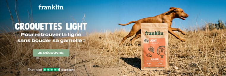 franklin croquettes light avis
