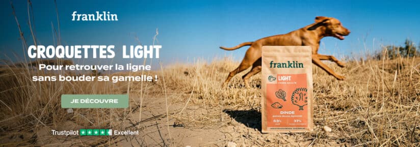 franklin croquettes light avis