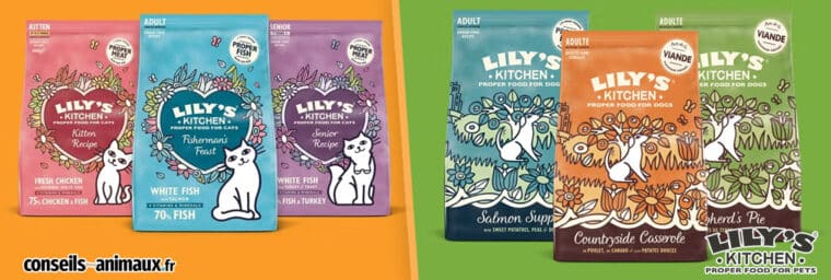 Avis Lily's Kitchen