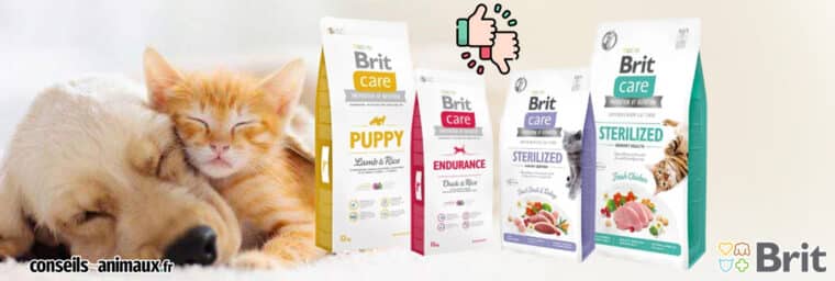 Avis brit chien chat