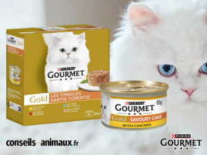 Gourmet avis