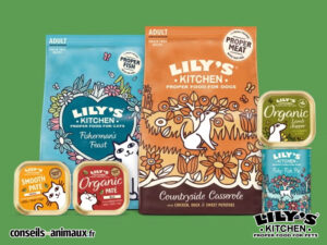 Lily's Kitchen avis