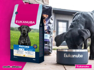 eukanuba avis