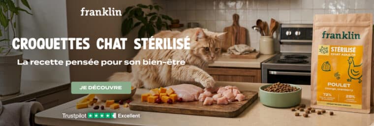 avis franklin chat stérilisé