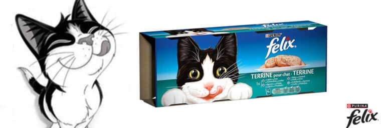 Felix - Les Terrines (chat adulte)