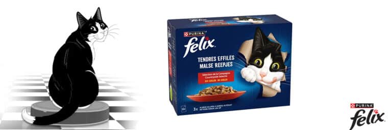 Felix - Tendres Effilés en gelée (chat adulte)
