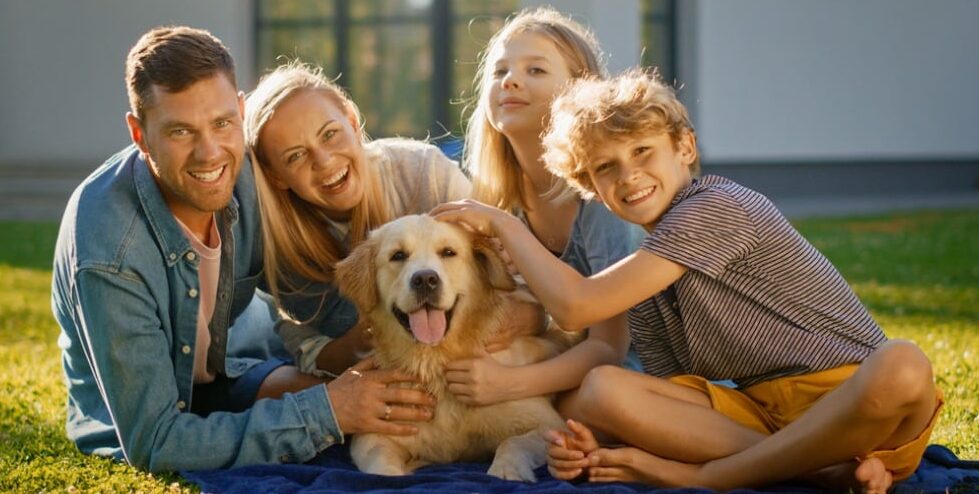 golden retriever enfants