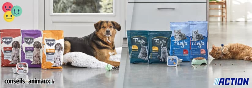 Avis croquettes chat et chien Action