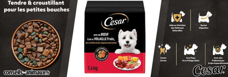 Cesar - Croquettes Adultes petite taille