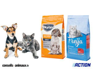 Croquettes chat et chien Action