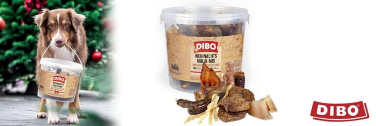 DIBO - Mélange de Noël