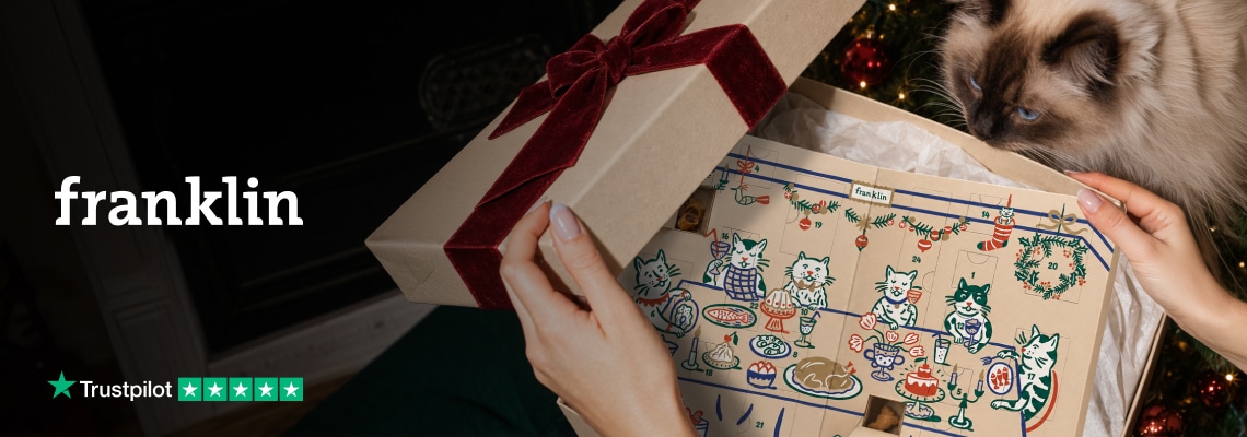 Franklin - calendrier noel chat_2