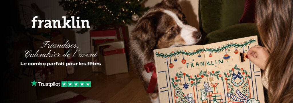 Franklin - calendrier noel chien