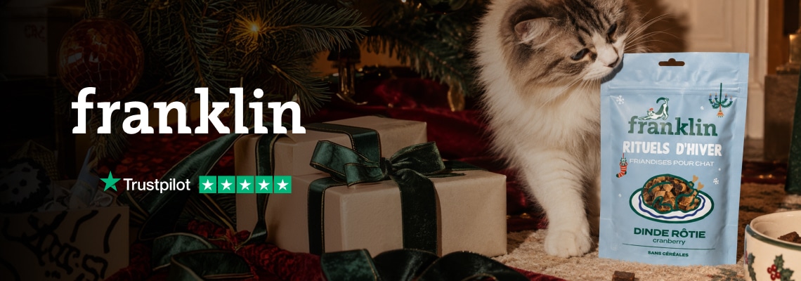 Franklin - friandise chat rituel hiver