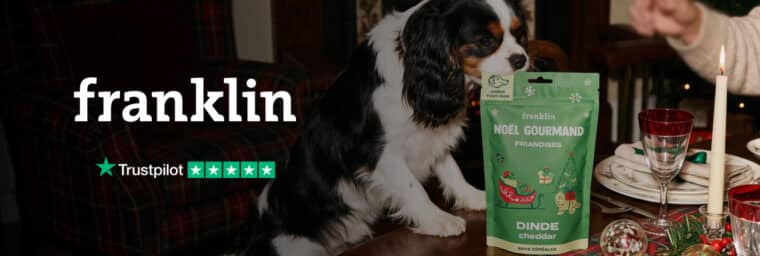 Franklin – Noël gourmand Dinde, Cheddar