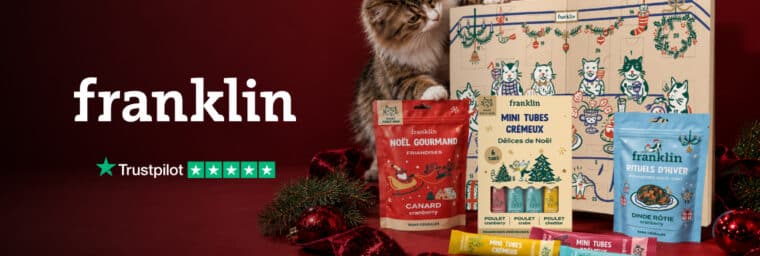 Franklin : une box de Noël à composer vous-même