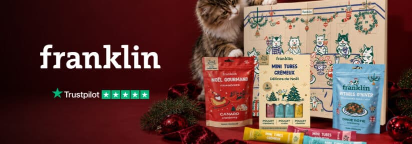 Franklin - friandises noel chat