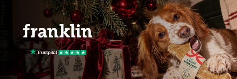 Franklin - os à macher noël chien