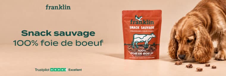 Franklin Snack Foie de bœuf lyophilisé pour chien