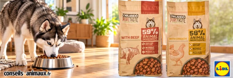 Lidl - Orlando Pure Taste, croquettes pour chien, sac de 1 400 g